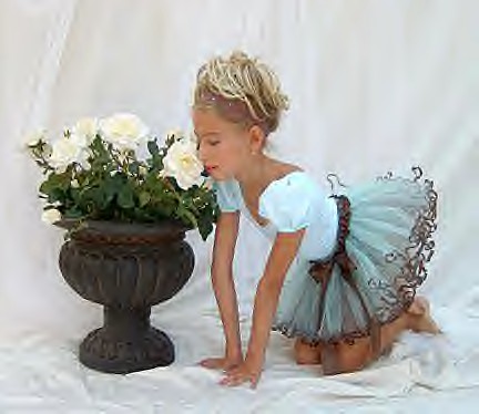 Aqua and Chocolate Tutu